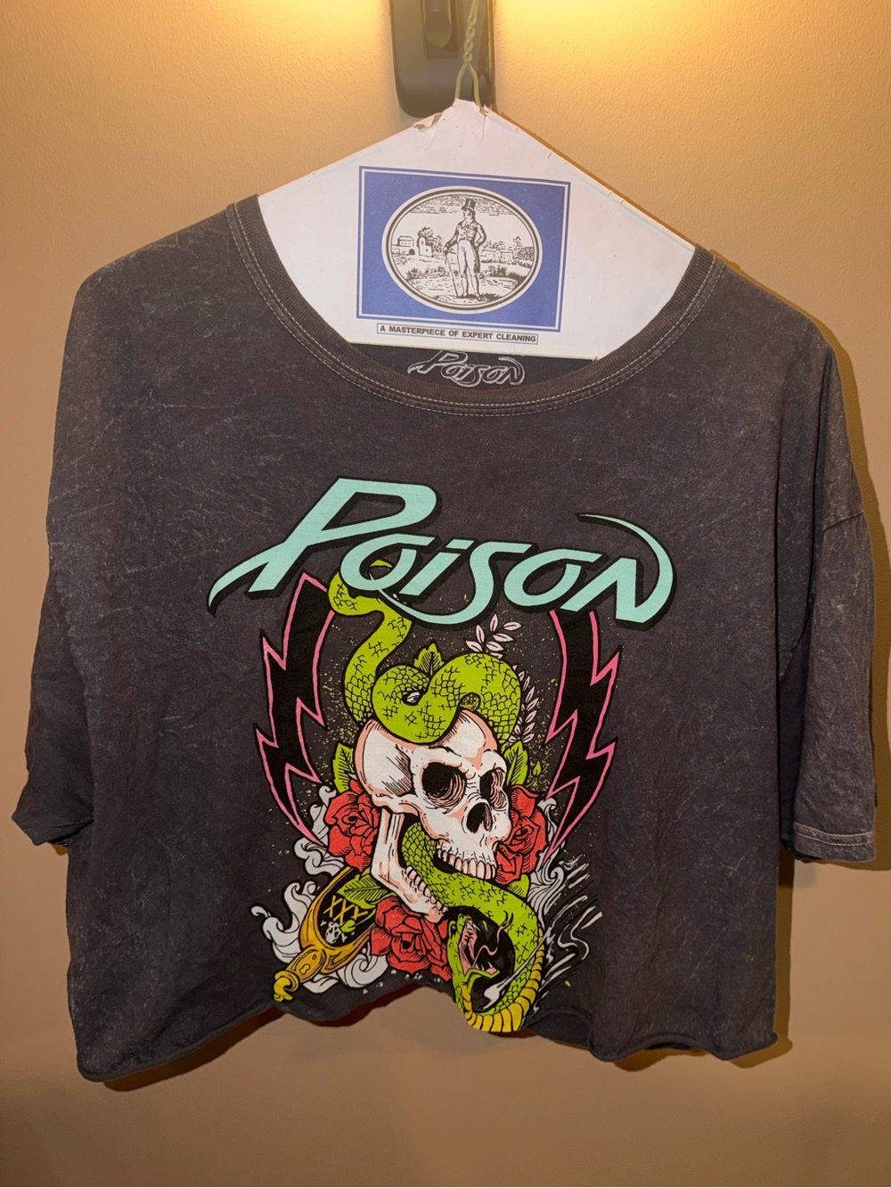 Poison Logo Crop Top in Grey with Green Accent - Women's